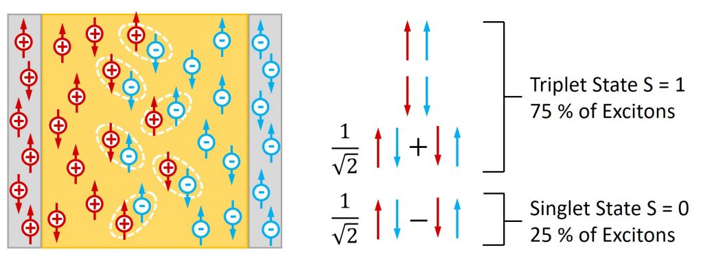 The triplet problem in OLEDs