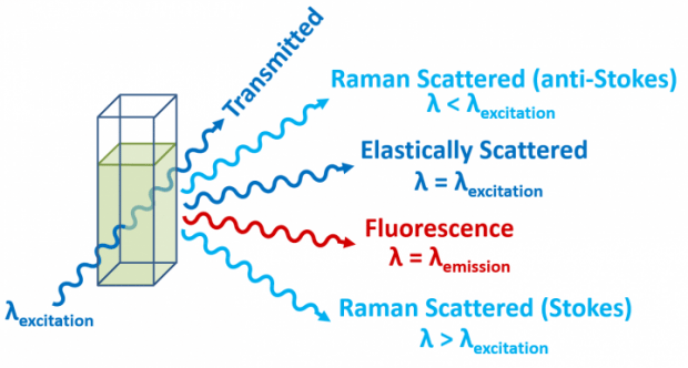 Fluorescence, elastic scattering and Raman scattering processes