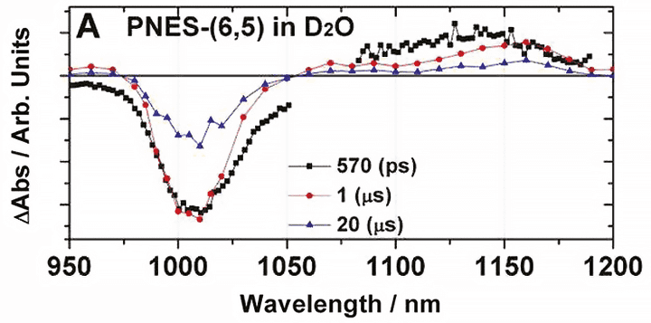 NIR transient absorption of PNES- SWCNT