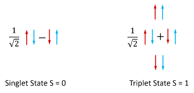 Fluorescence: Electron Spin Configurations of the singlet and triplet states