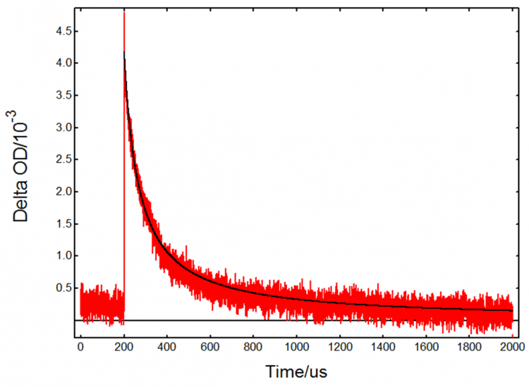 Dichloride Radical Kinetics