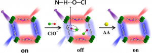 Proposed mechanism for the “on-off-on” fluorescence sensor.