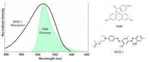 COVID-19 Disease Testing Utilising Fluorescence 