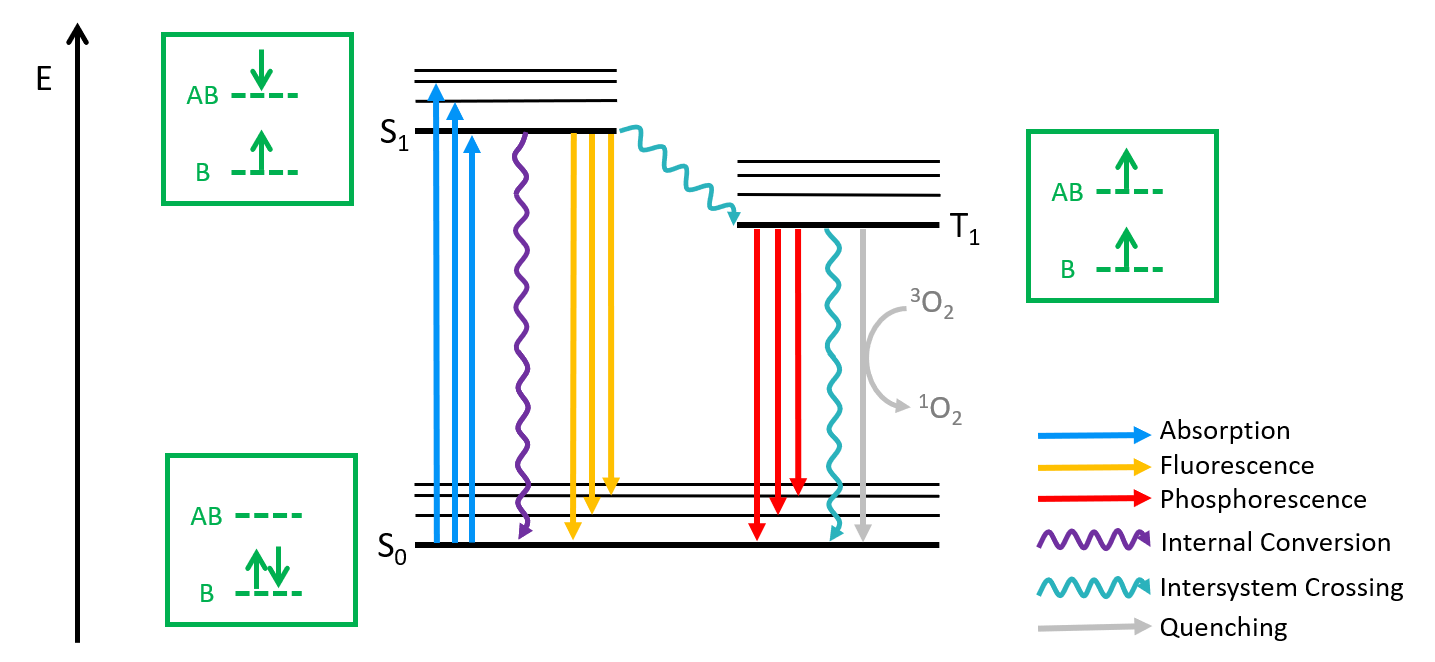 Triplet State Diagram