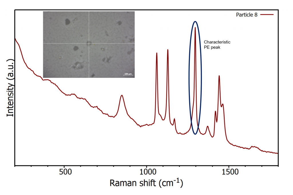 Raman spectra of polyethylene on nitrocellulose filter