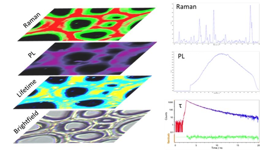 Biochemical analysis of woody plant cell walls using our multi-modal micro-spectroscopy approach.