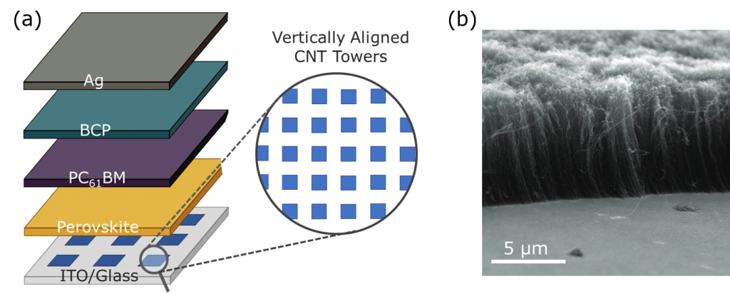 Perovskite carbon nanotube hole extraction layer, VACNT