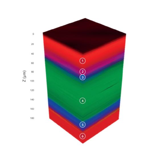 3D Raman map of a nicotine transdermal patch 