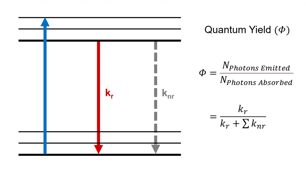 Quantum yield and radiative and non-radiative decay processes.