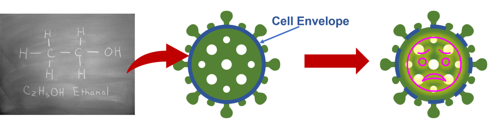 Ethanol in hand sanitiser kills viruses