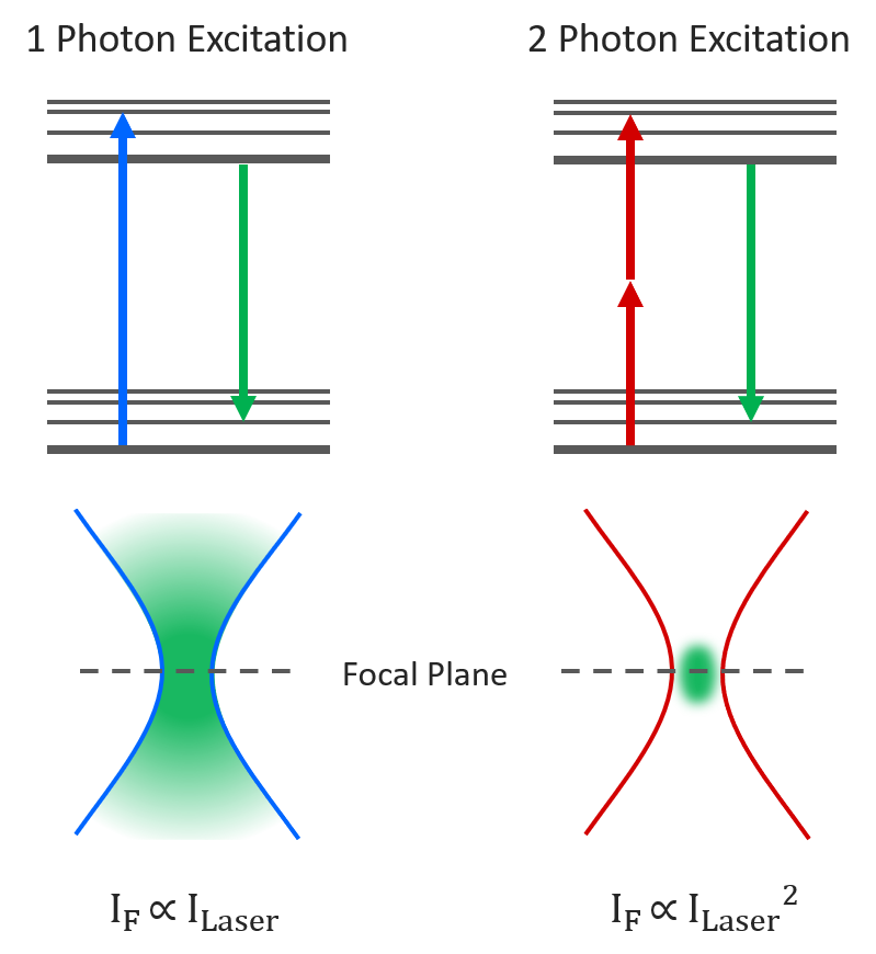 Two photon excitation focal volume