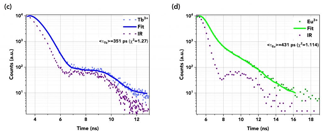 TCSPC measurements of all spectra | optical probe