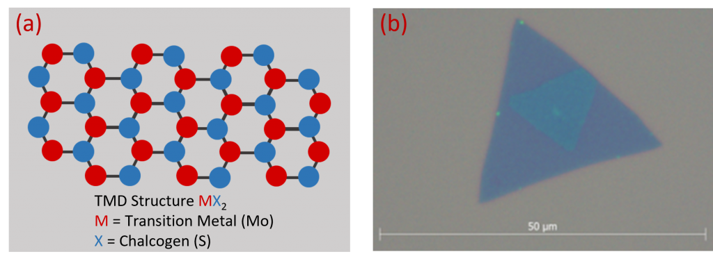 MoS2 structure and microscope image