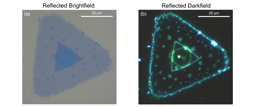 Multimodal imaging: Image of WSe2 crystal