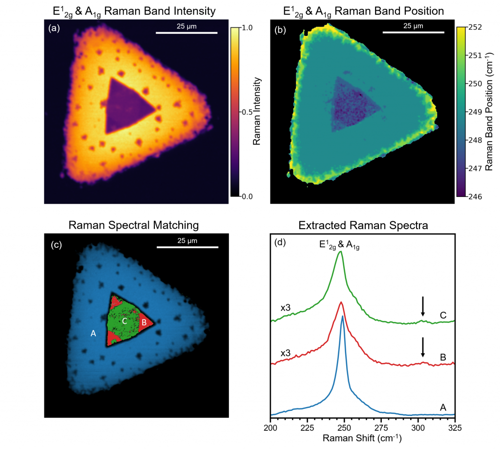 Raman imaging of WSe2