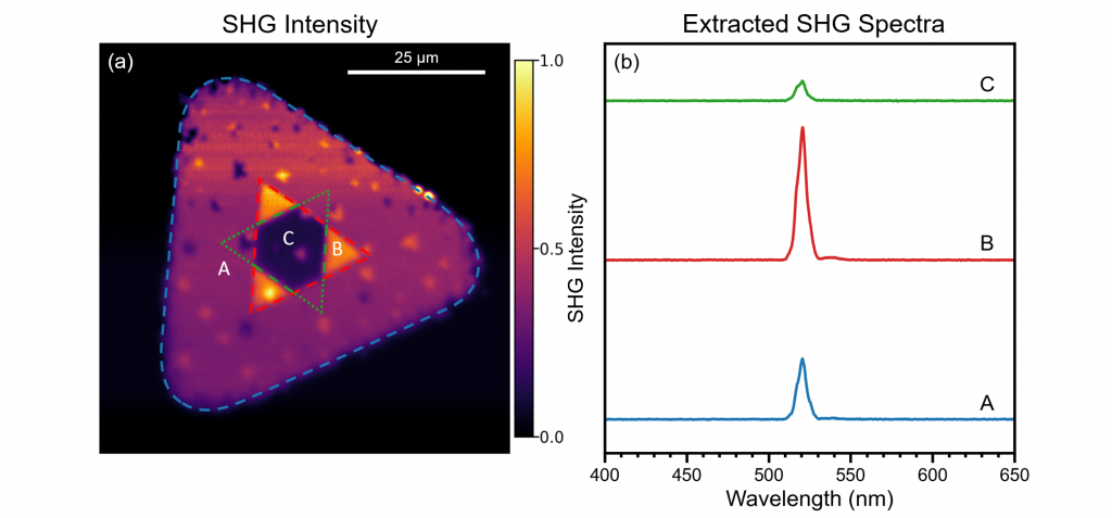 SHG imaging of WSe2