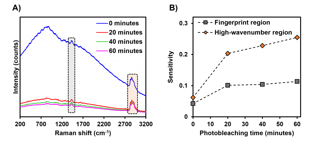 Photobleaching Raman spectroscopy