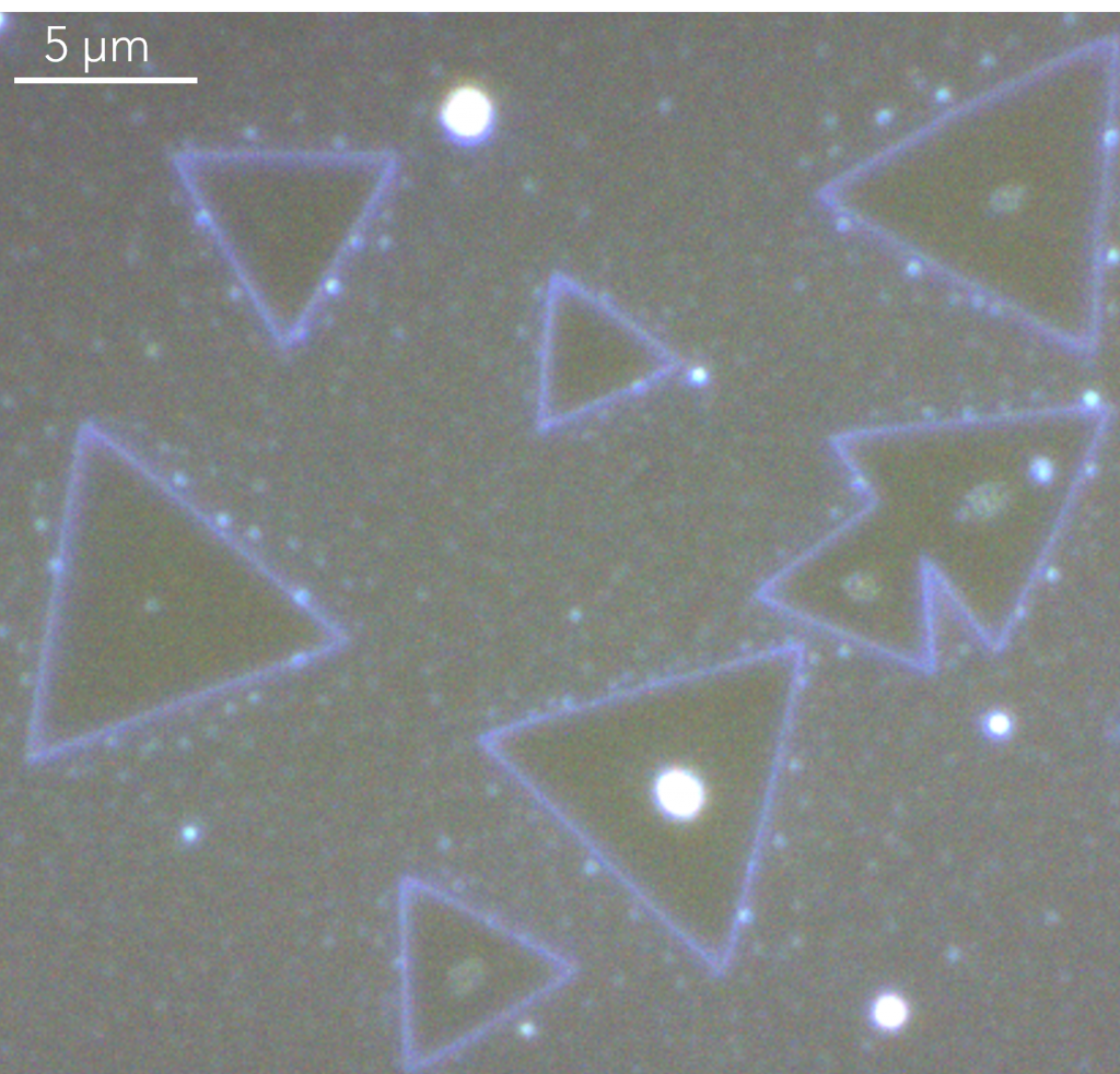 MoS2 darkfield microscopy 