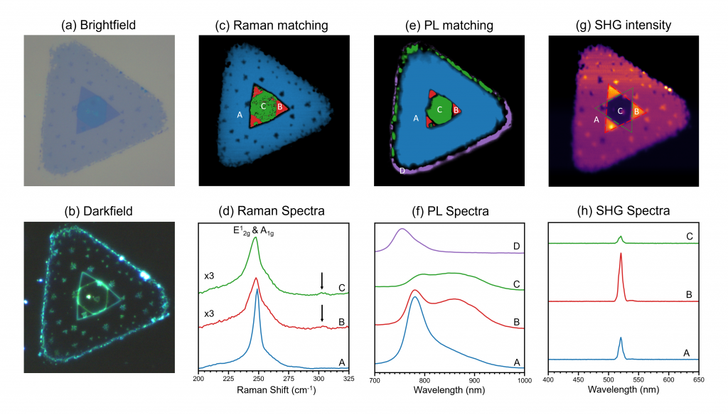 Multimodal Imaging of WSe2