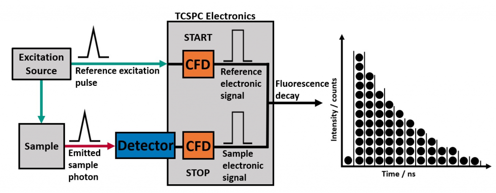 time correlated single photon counting electronics 