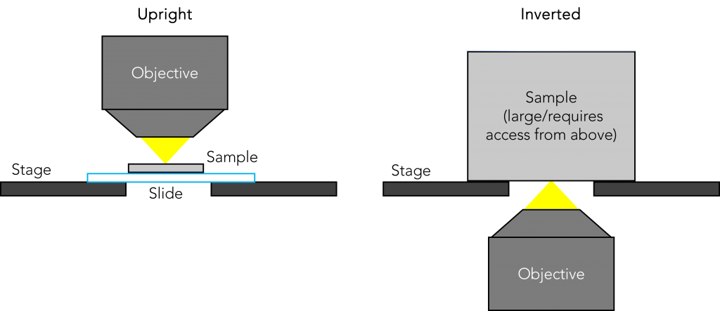 Upright and inverted microscope configurations for optical microscopy