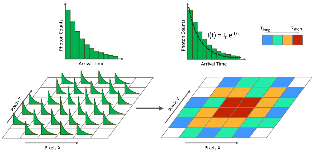 FLIM Analysis diagram- What is FLIM?