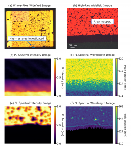 Photoluminescence and Electroluminescence Imaging of OLED