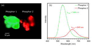 PL image and spectra of phosphors 1 and 2