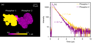 PLIM image and (b) decays of phosphors 1 and 2