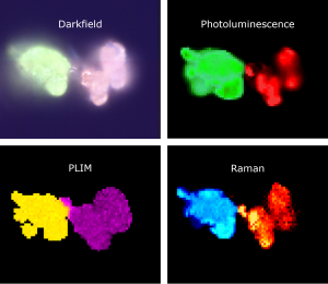 Darkfield, PL, PLIM, and Raman images of phosphor 1 and 2 microparticles