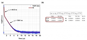 A biexponential decay of a TADF emitter