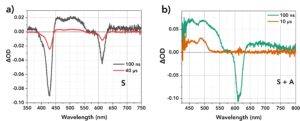 TA absorption spectra at 617 nm excitation of a) 10 µM PtTBTP (sensitiser, S) and b) 10 µM PtTBTP and 1 mM of perylene (sensitiser and annihilator, S+A) in THF.