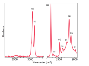 FTIR spectrum butter for food analysis