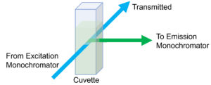 fluorescence right angle geometry