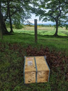 Mark's swarm trap was vandalised and discarded at the side of the road