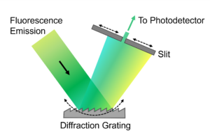 emission monochromator fluorescence