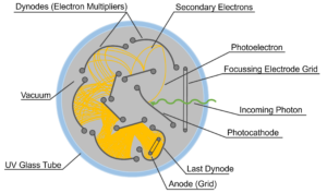 photomultiplier tube diagram