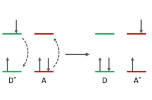 Foster resonance energy transfer mechanism