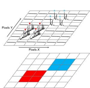 Raman imaging technique